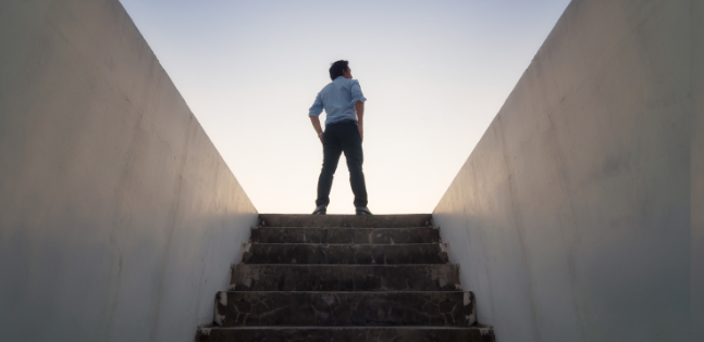 Creștere în Carieră